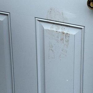 Footprint on door
